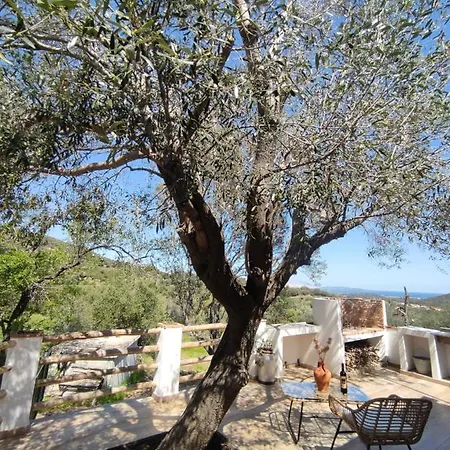 Ferienhaus Stazzu Baingiu San Teodoro (Sardinia)
