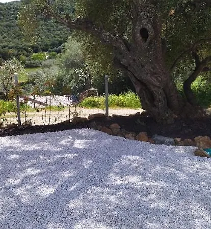 Stazzu Baingiu San Teodoro (Sardinia)